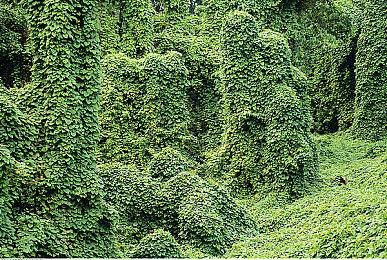 Level-5宣布11月29日举行发布会 公布新作发售日期